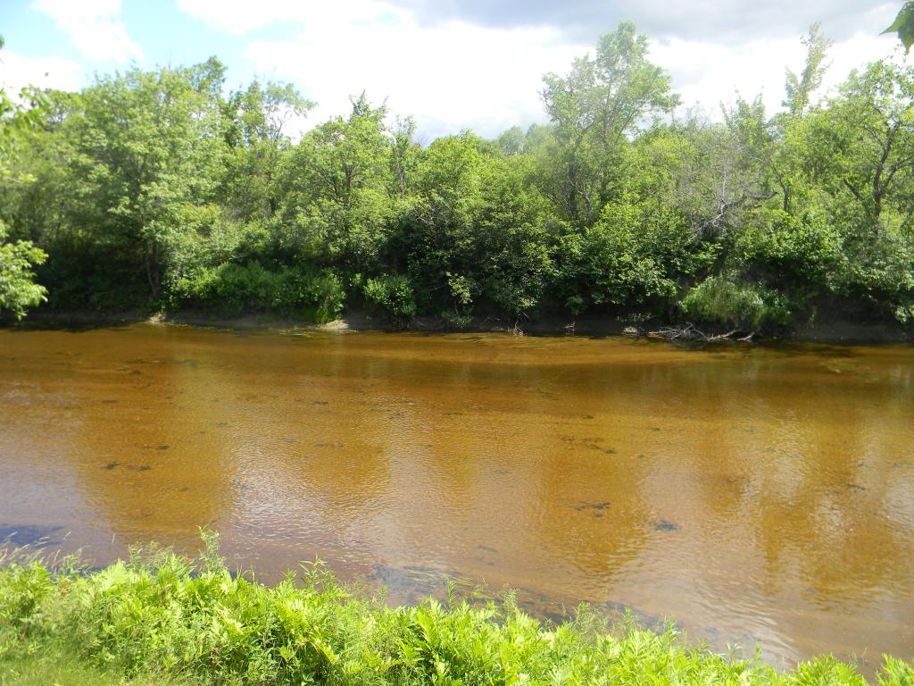 25 Sunny Acres Road Stark, NH 03582 - Photo 23 of 36