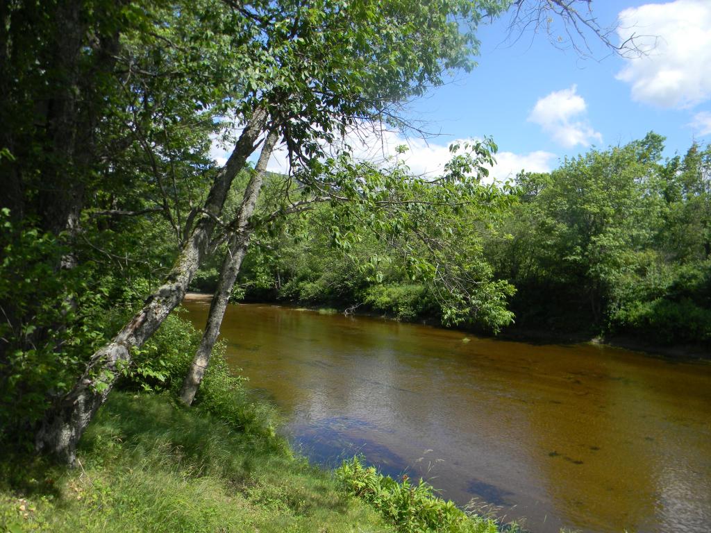25 Sunny Acres Road Stark, NH 03582 - Photo 24 of 36