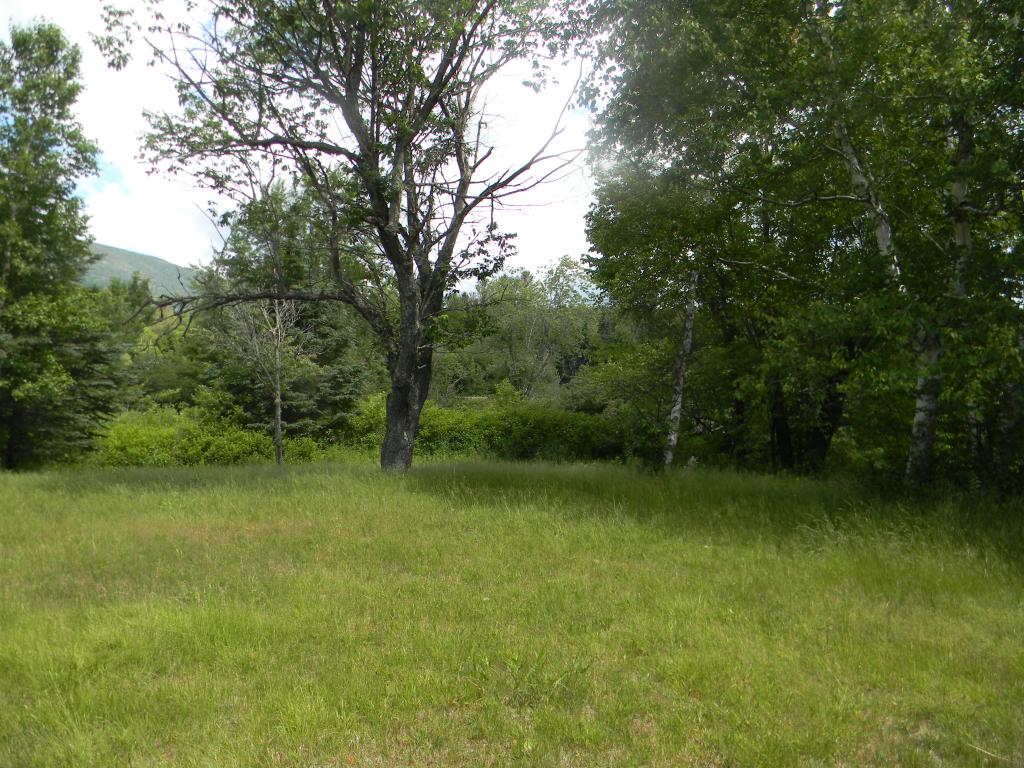 25 Sunny Acres Road Stark, NH 03582 - Photo 28 of 36