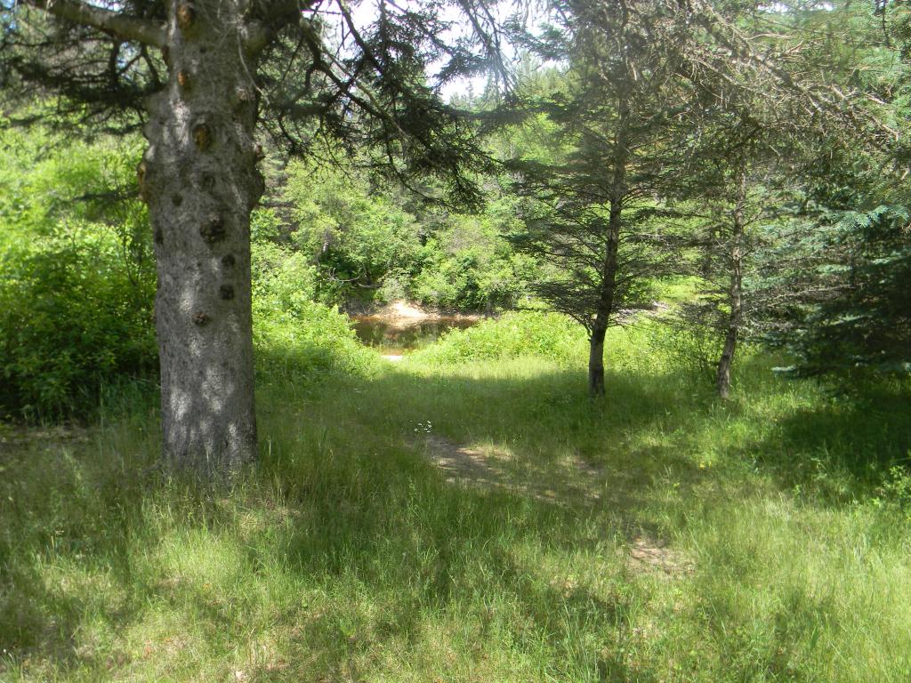 25 Sunny Acres Road Stark, NH 03582 - Photo 29 of 36