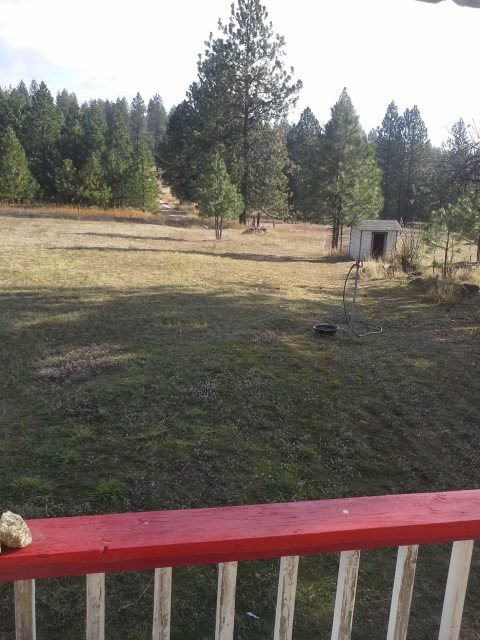 29502 North Dunn Road Chattaroy, WA 99003 - Photo 11 of 18 Gallery Image 11