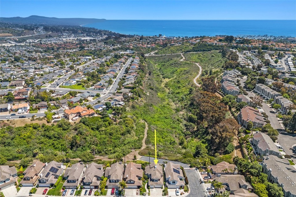 24882 Summerwind Dana Point, CA 92629 - Photo 29 of 31 an aerial view of multiple house
