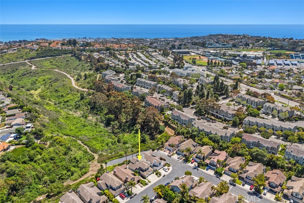 24882 Summerwind Dana Point, CA 92629 - Photo 30 of 31 an aerial view of a city with lots of residential buildings