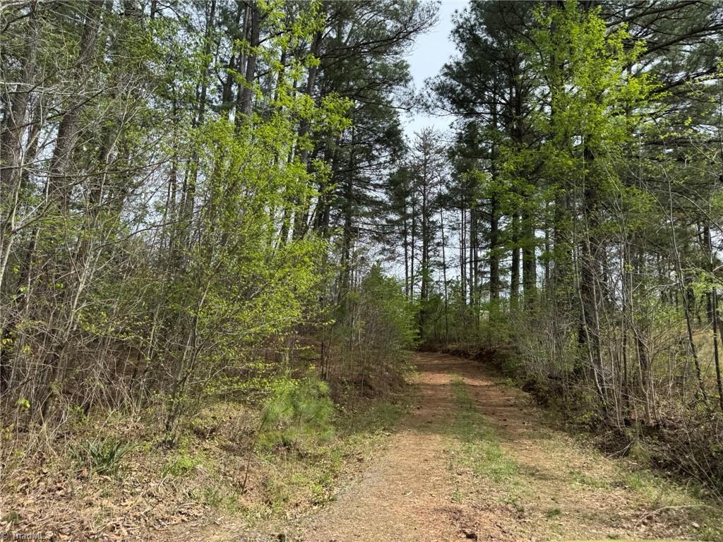 6988 Salem Chapel Road Walnut Cove, NC 27052 - Photo 29 of 38