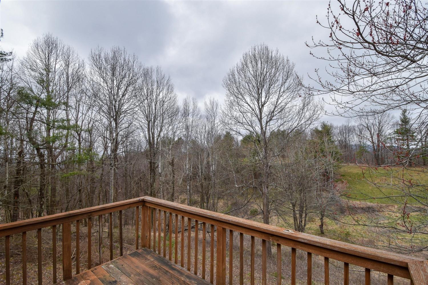 10571 Ivy Ridge Road Bent Mountain, VA 24059 - Photo 29 of 32 29-Photo-29