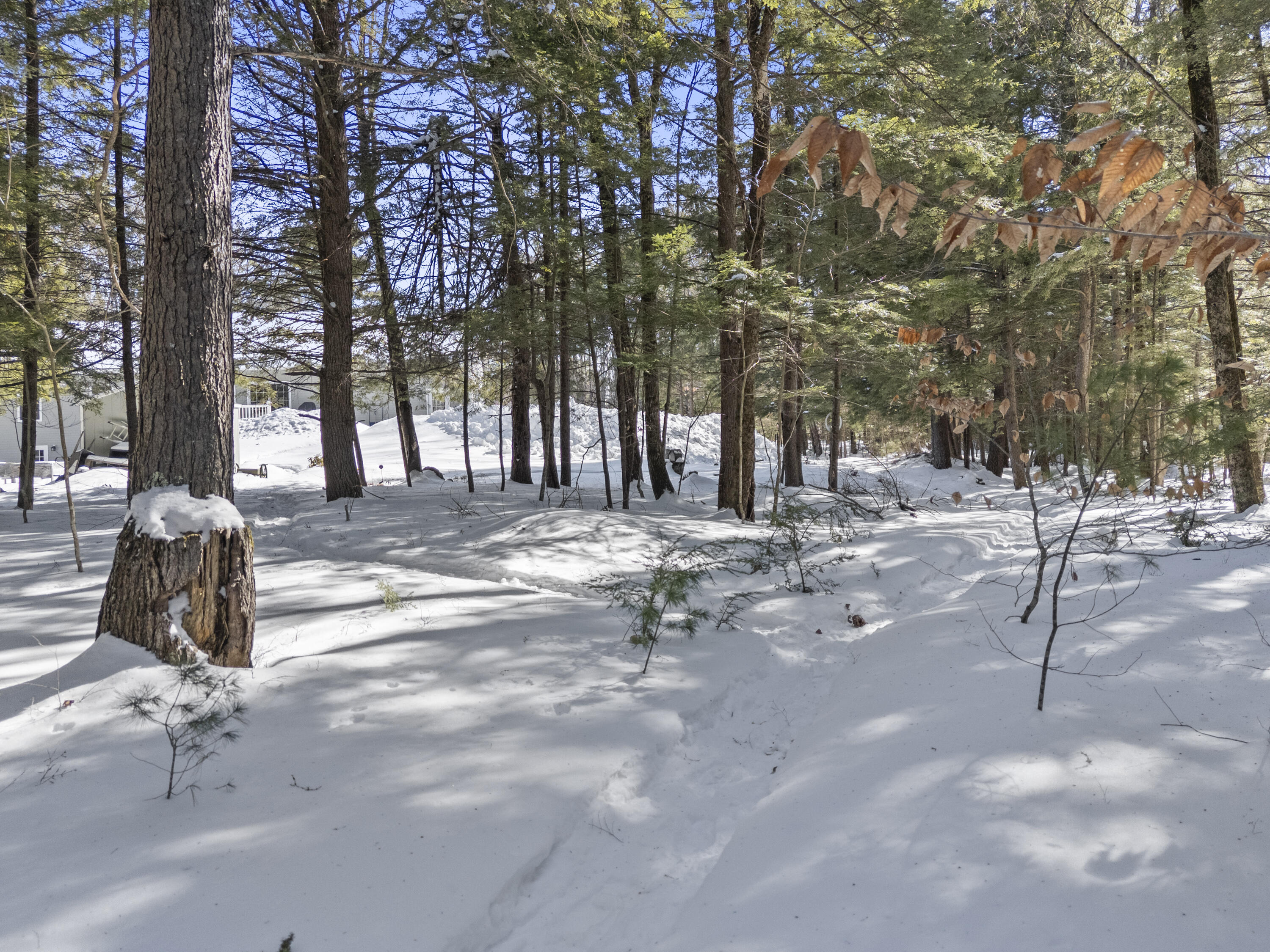 107 Highland Ridge Hollis Center, ME 04042 - Photo 52 of 66 107 Highland Ridge_155