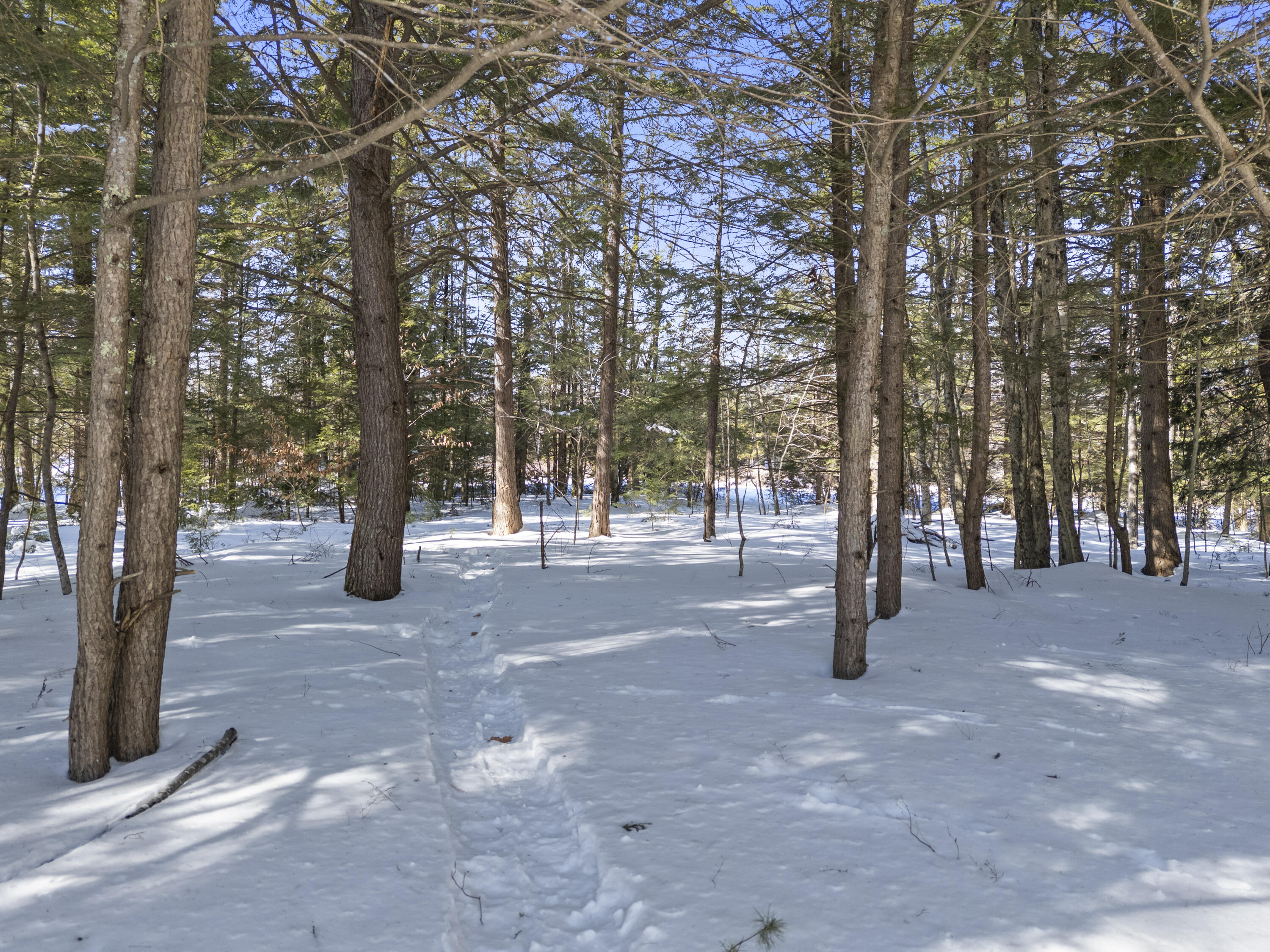 107 Highland Ridge Hollis Center, ME 04042 - Photo 53 of 66 107 Highland Ridge_156