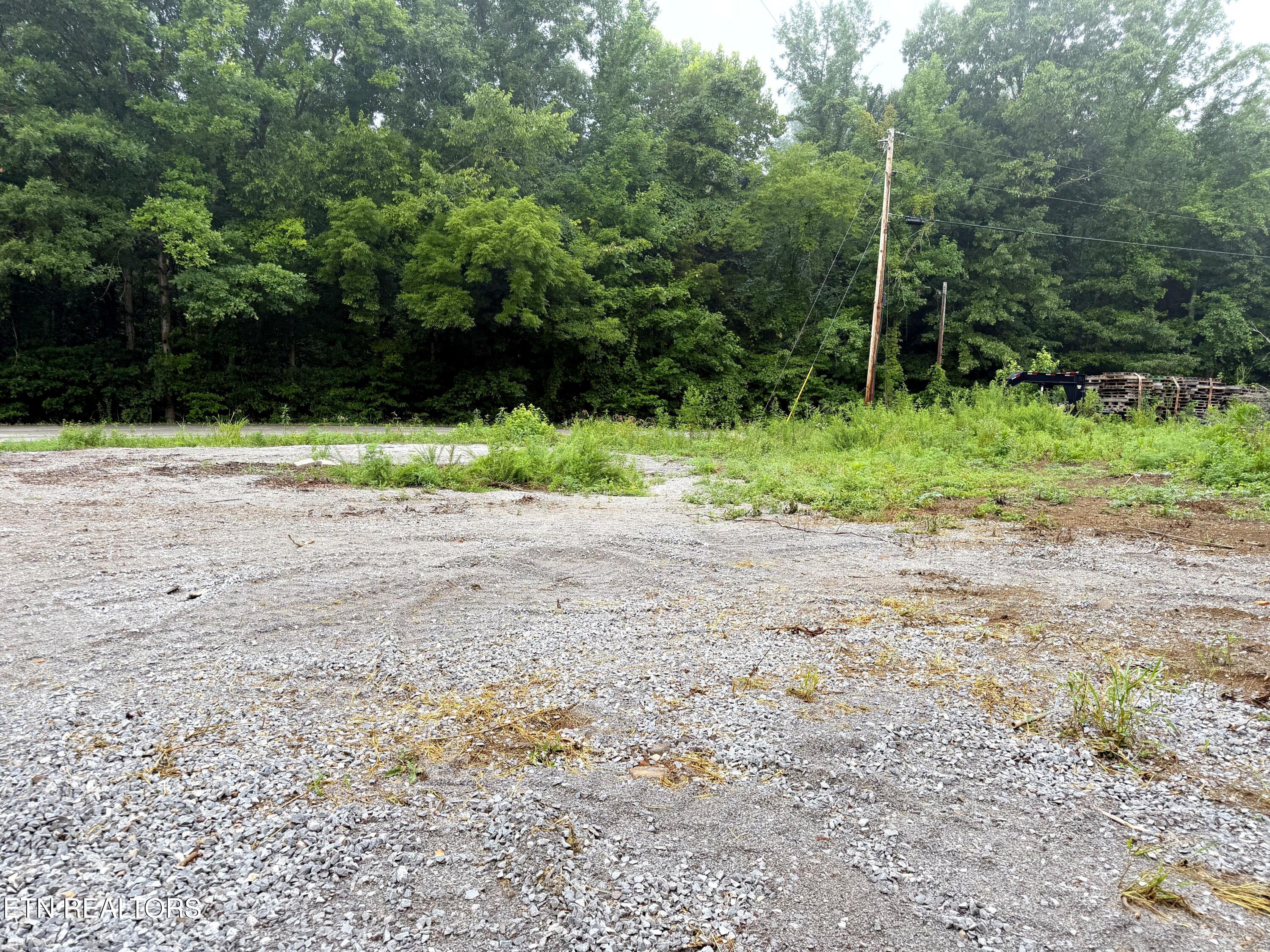 West Buttermilk Road West Lenoir City, TN 37771 - Photo 3 of 4 IMG_1822_brightened