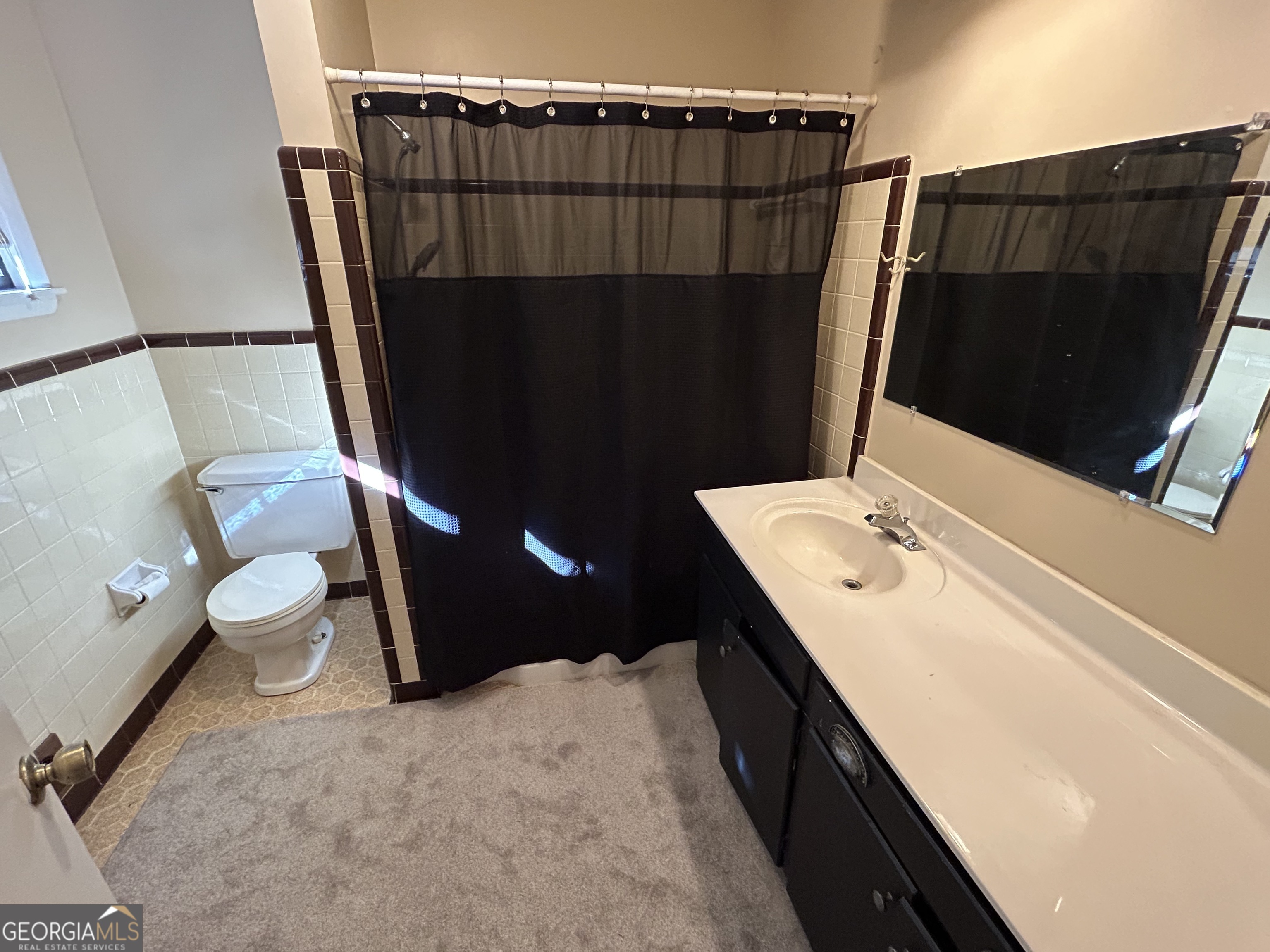 1595 Timothy Road Athens, GA 30606 - Photo 16 of 22 a bathroom with a sink a toilet a mirror and vanity