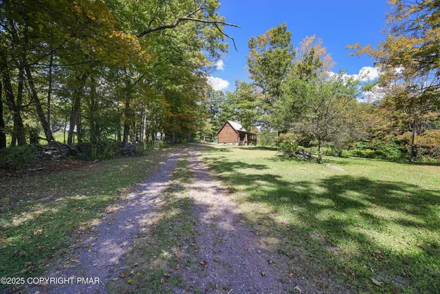 a view of outdoor space with trees all around