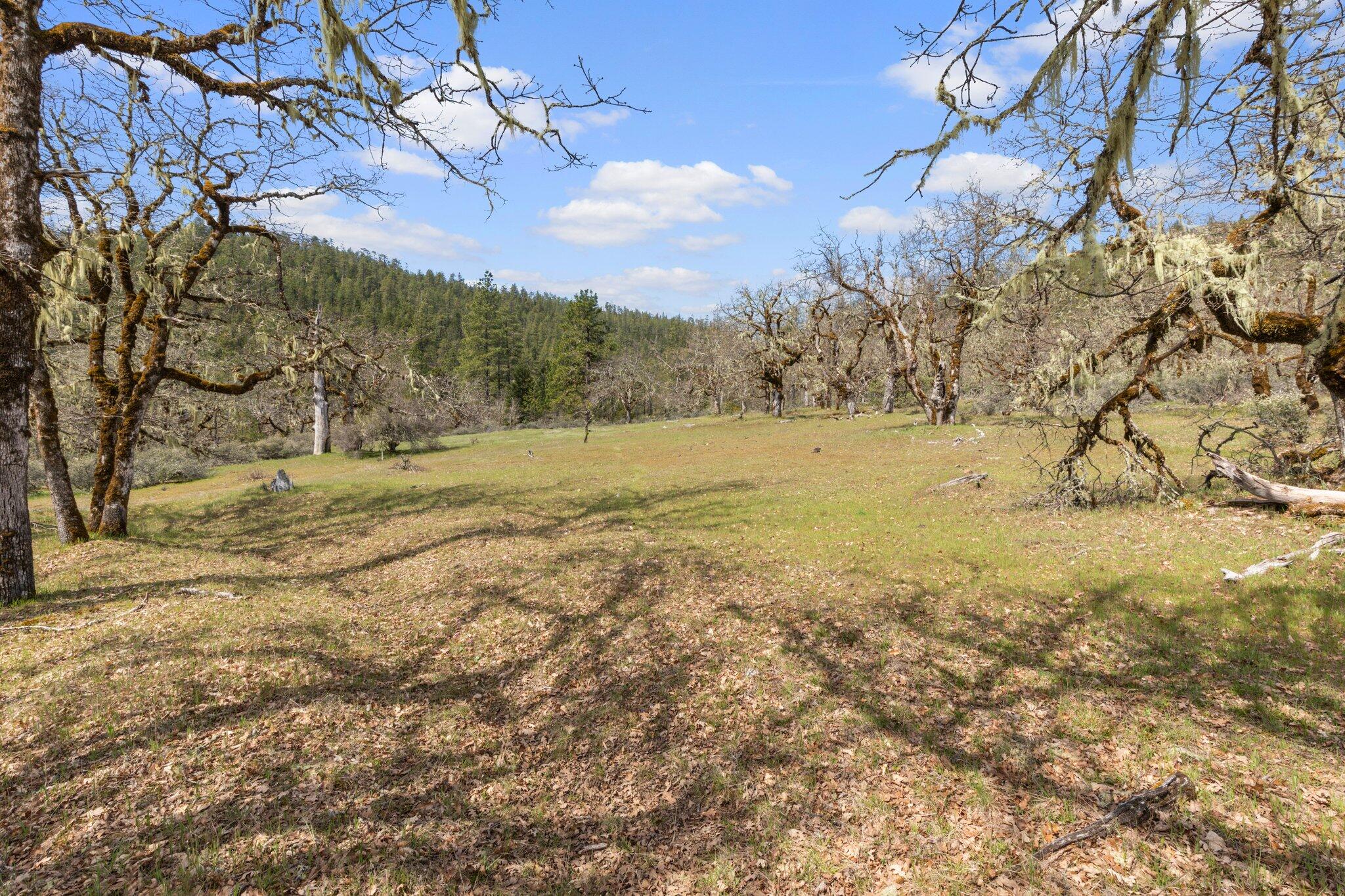 6250 West Side Road Cave Junction, OR 97523 - Photo 37 of 43 33-web-or-mls-IMGL5542