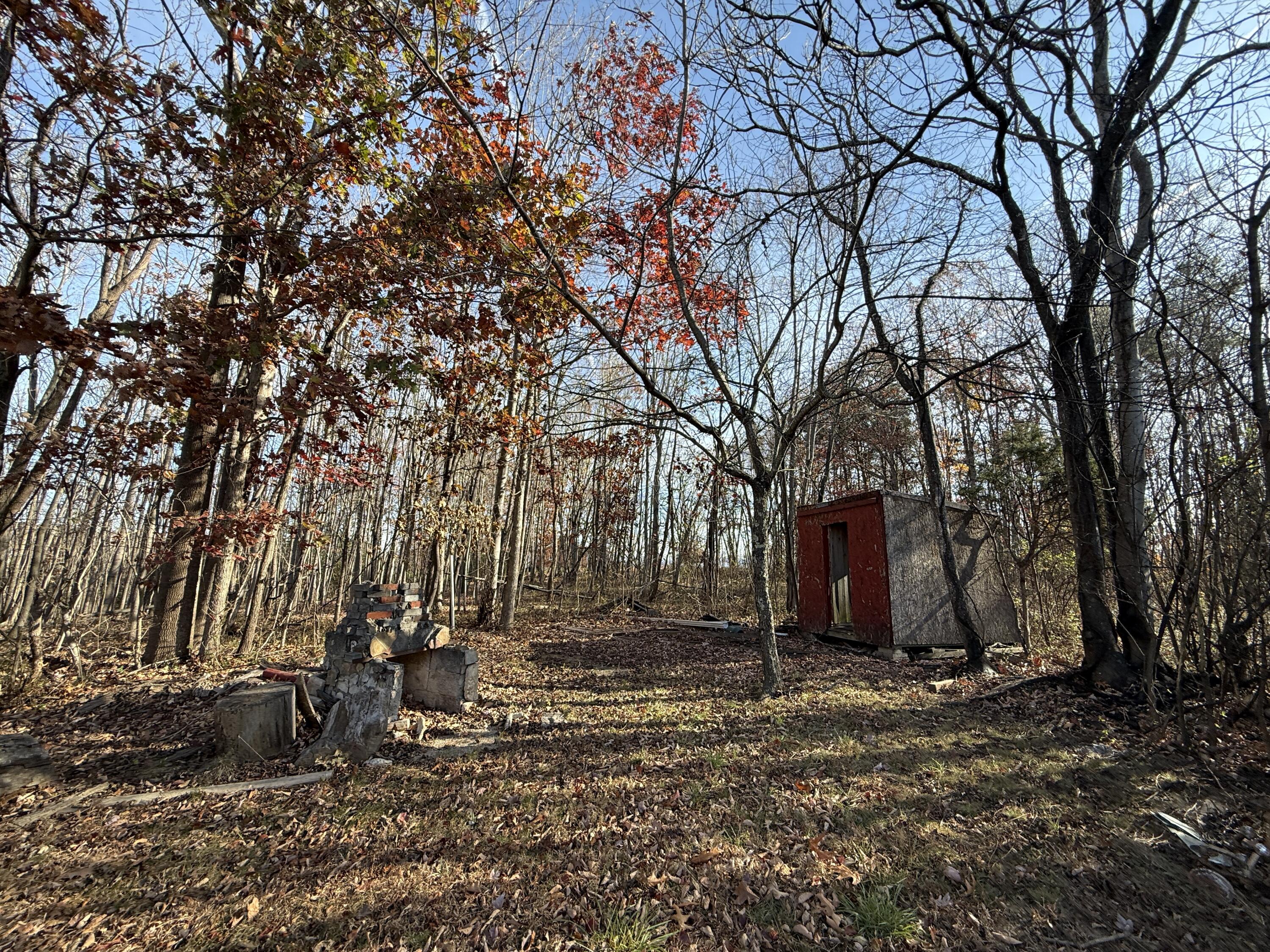 7212 Wood Haven Road Roanoke, VA 24019 - Photo 38 of 39 a view of house with trees