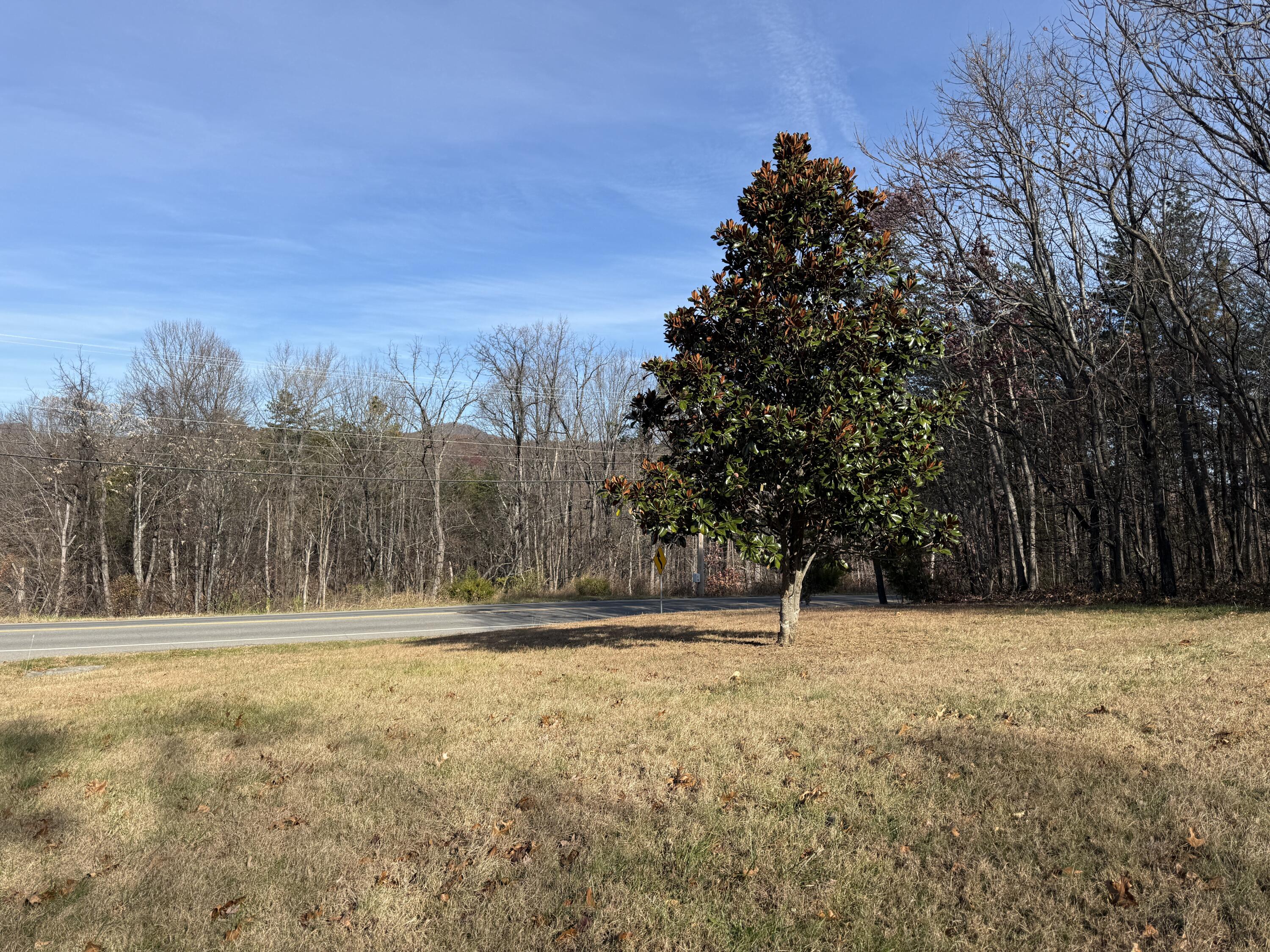 7212 Wood Haven Road Roanoke, VA 24019 - Photo 7 of 39 a view of outdoor space with trees