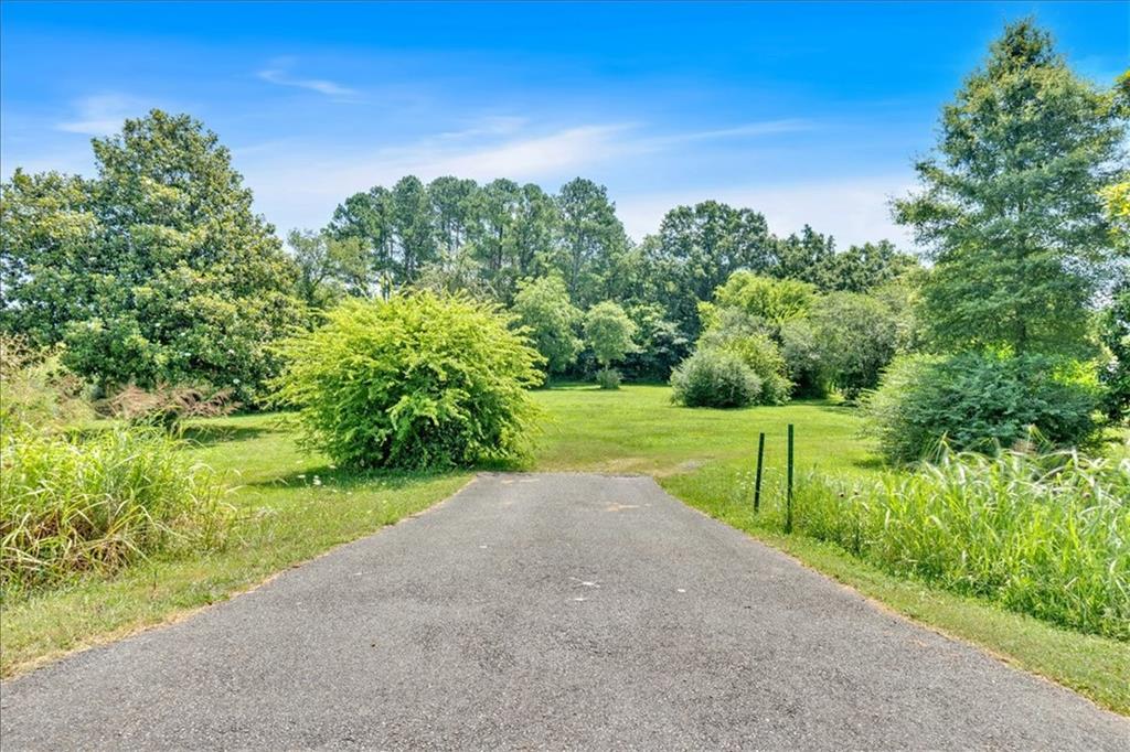 a view of a park with large trees