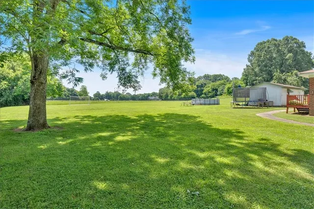 a view of a trees with a big yard
