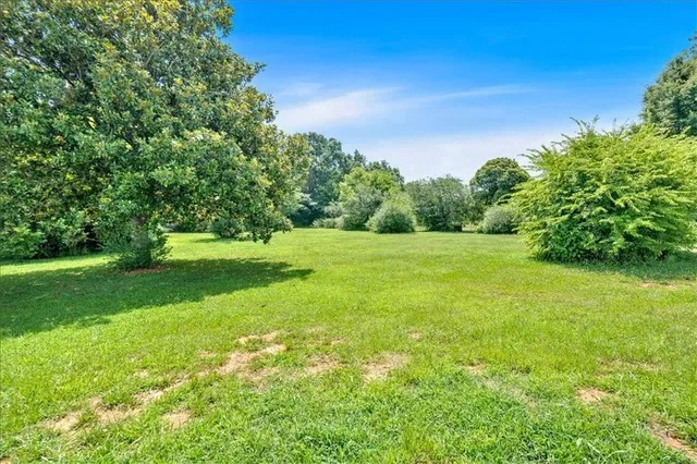 a view of a grassy field with trees
