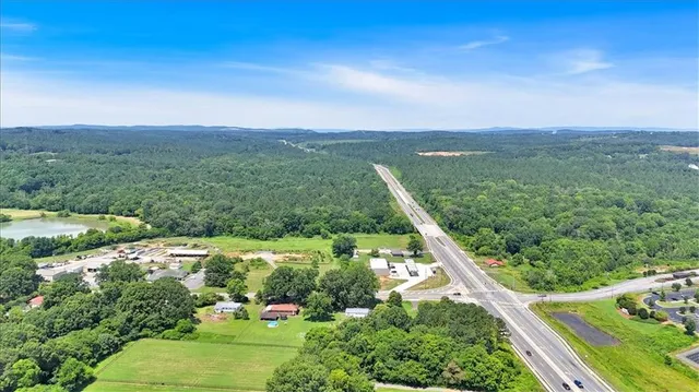 a view of a city with lush green forest