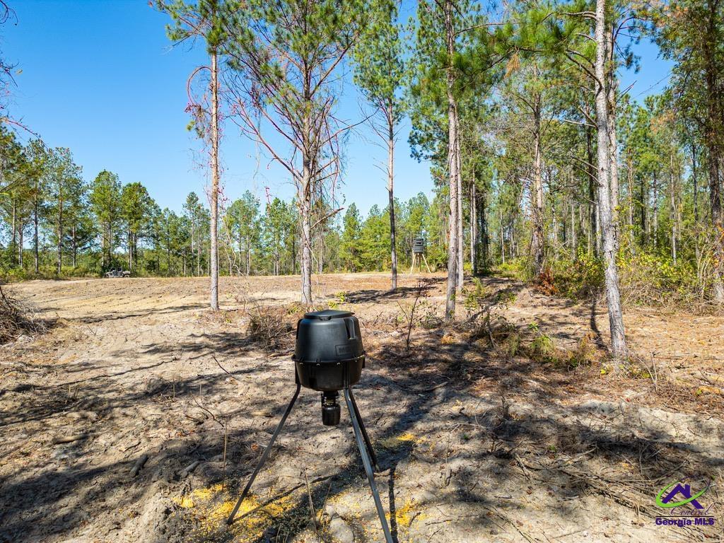 Ohp Dominy Road Toomsboro, GA 31090 - Photo 2 of 24