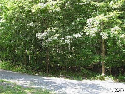 0 Hollyberry Road Macungie, PA 18062 - Photo 3 of 4 Gallery Image 3