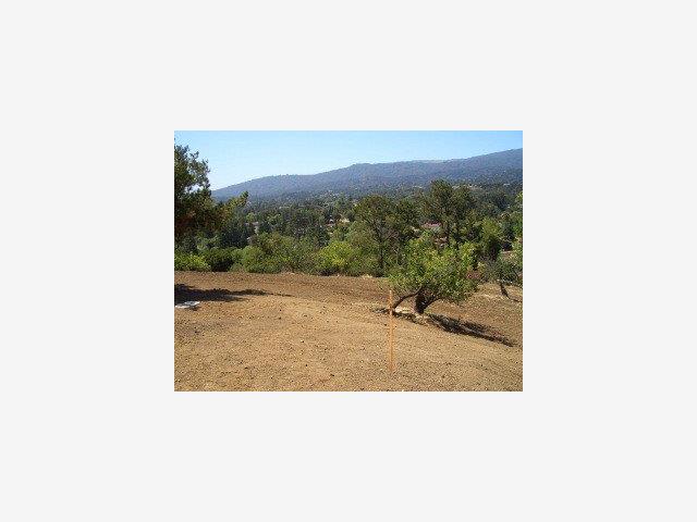 a picture of a person on a field