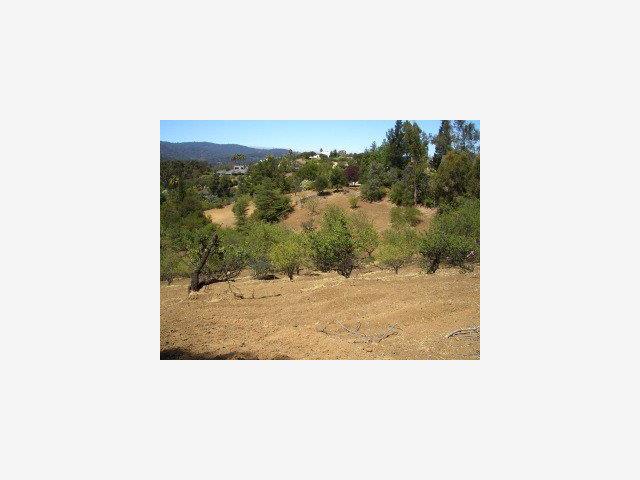 24570 Ruth Lee Court Los Altos, CA 94024 - Photo 2 of 6 a picture of a floor plan