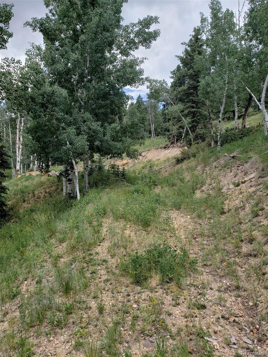10th Street Del Norte, CO 81132 - Photo 1 of 11 a big yard with lots of green space and deers