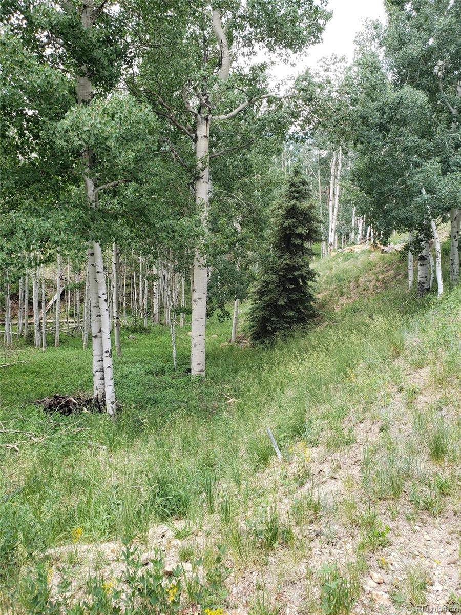 10th Street Del Norte, CO 81132 - Photo 2 of 11 a view of outdoor space and yard