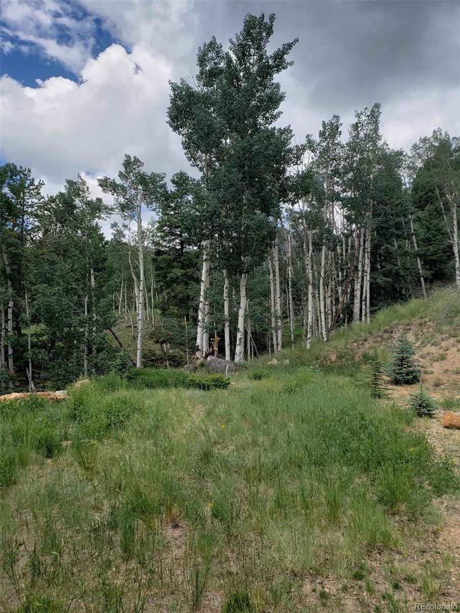 10th Street Del Norte, CO 81132 - Photo 4 of 11 a view of a park
