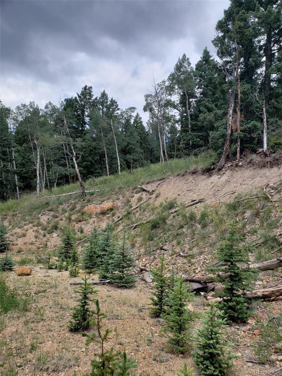 10th Street Del Norte, CO 81132 - Photo 5 of 11 a big yard with lots of green space