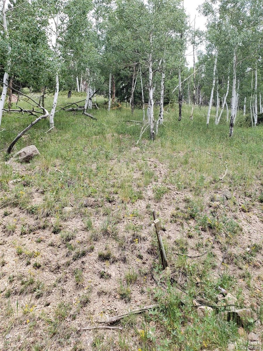 10th Street Del Norte, CO 81132 - Photo 6 of 11 a view of outdoor space with trees all around