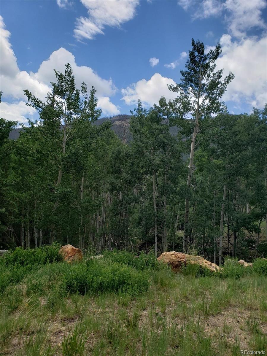 10th Street Del Norte, CO 81132 - Photo 7 of 11 a view of a garden with a fountain