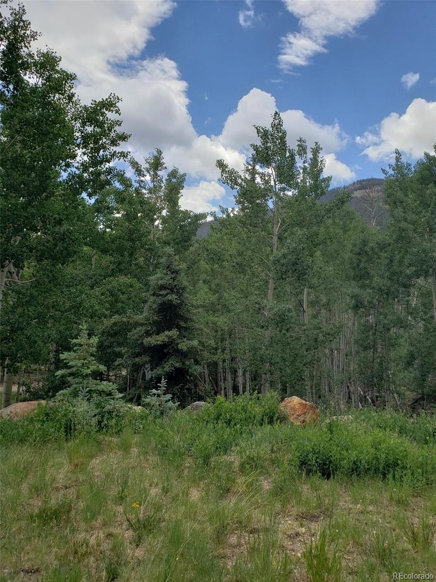 10th Street Del Norte, CO 81132 - Photo 8 of 11 a view of a green field with lots of bushes