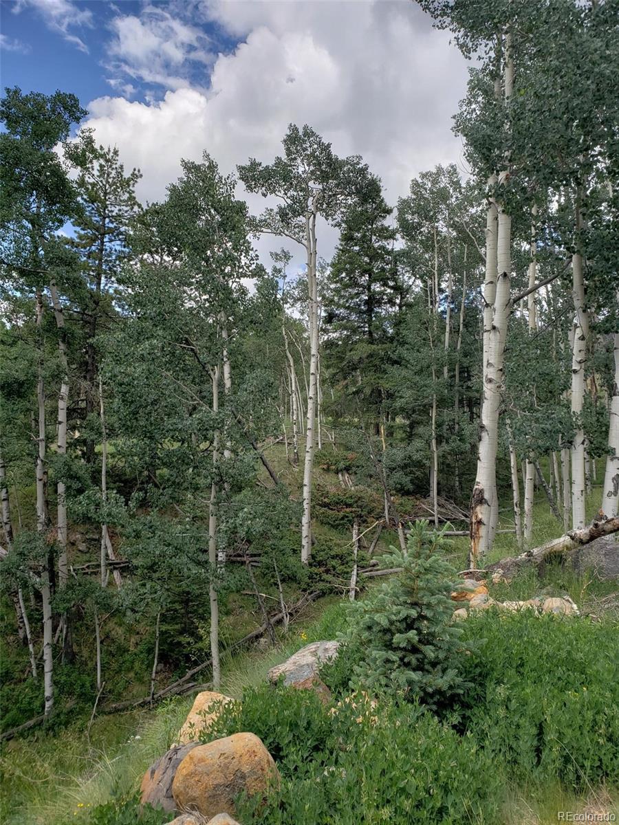 10th Street Del Norte, CO 81132 - Photo 10 of 11 a backyard of a house with lots of green space