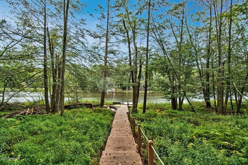 Walk Way to the Lake