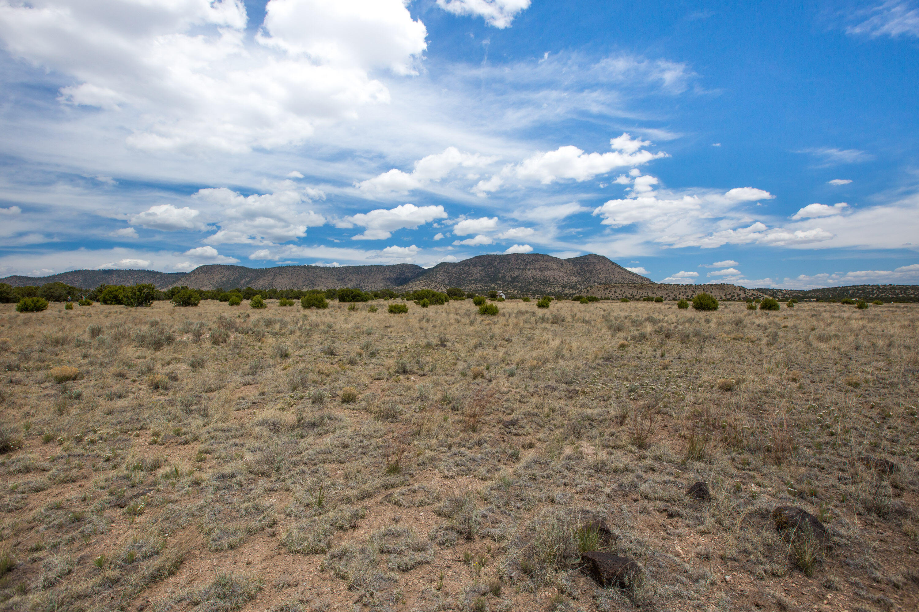 96 Sugarloaf Trail Datil, NM 87821 - Photo 7 of 19 Gallery Image 7