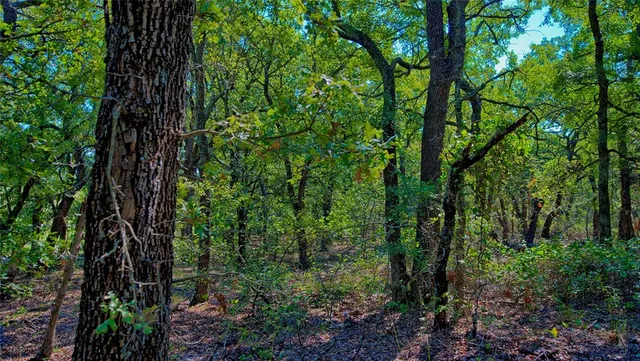 $400,000 | 901 Pigg Road, Bowie, TX 76230