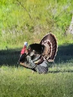 $400,000 | 901 Pigg Road, Bowie, TX 76230