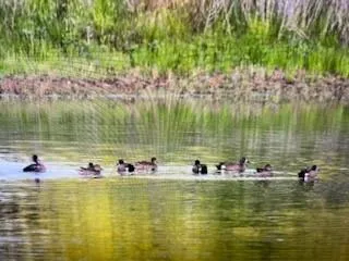 $400,000 | 901 Pigg Road, Bowie, TX 76230