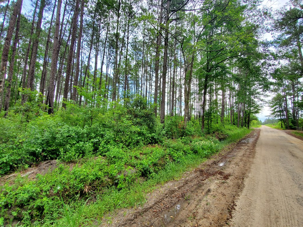 4859 Big Hill Road Ruffin, SC 29475 - Photo 3 of 4 Photo 3