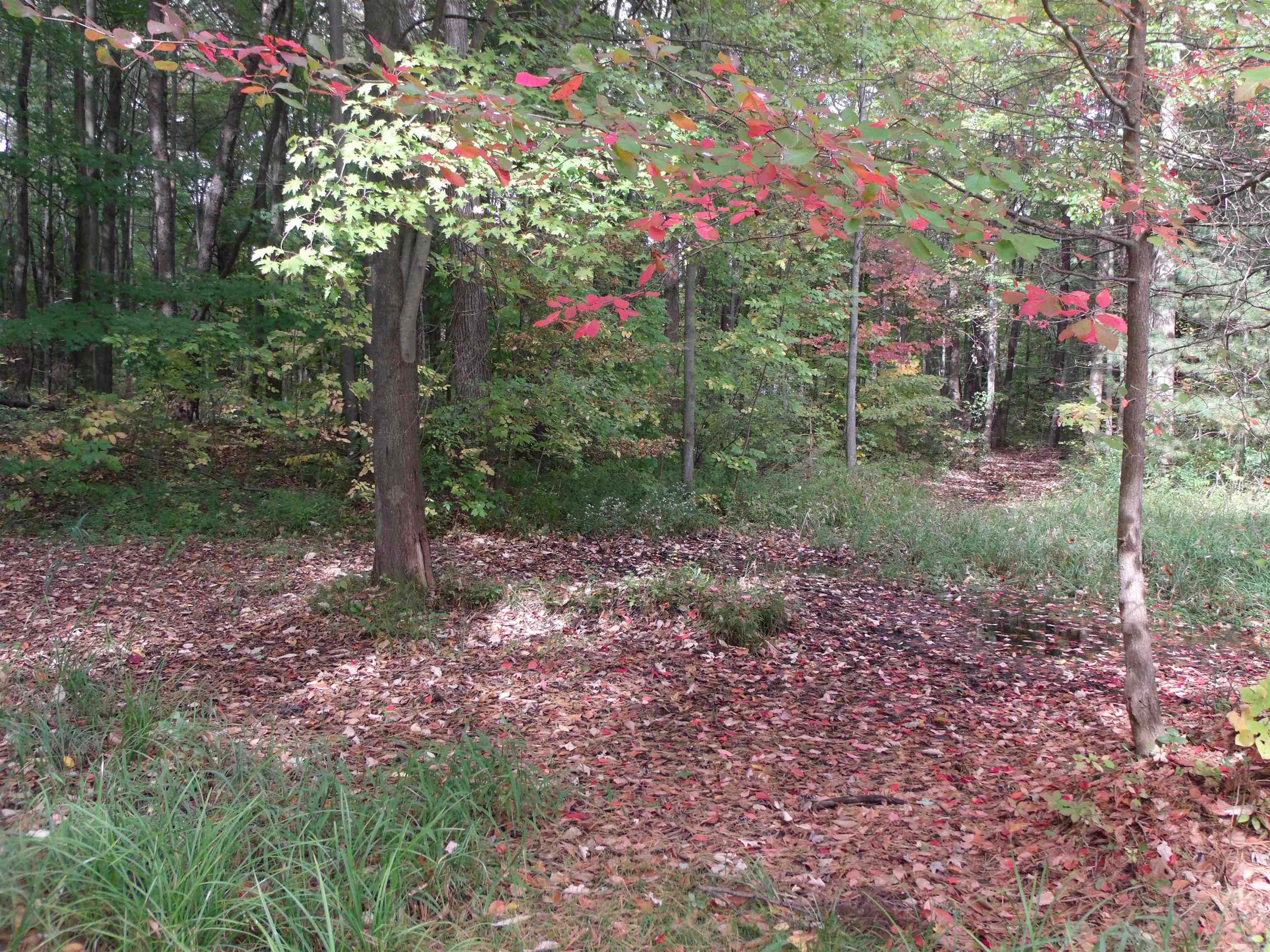 240 Wadhams Road St. Clair, MI 48079 - Photo 68 of 75 50124633-67.JPG