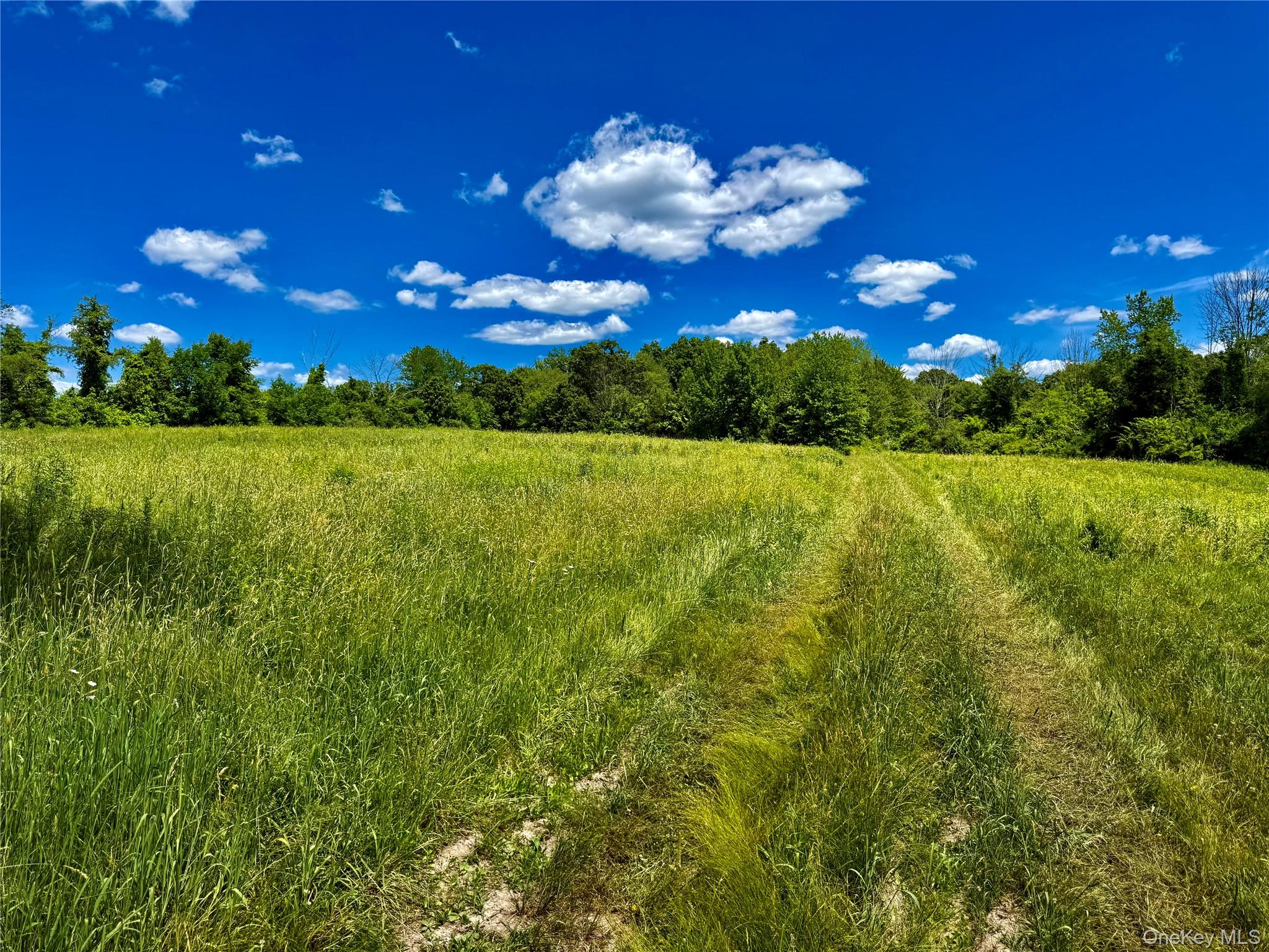 513 Rossway Road Pleasant Valley, NY 12569 - Photo 15 of 17 Field Number 5#
