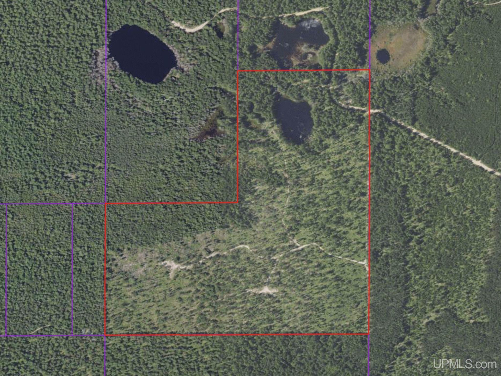 410 Rd Newberry Mi 49868 Road Newberry, MI 49868 - Photo 35 of 36