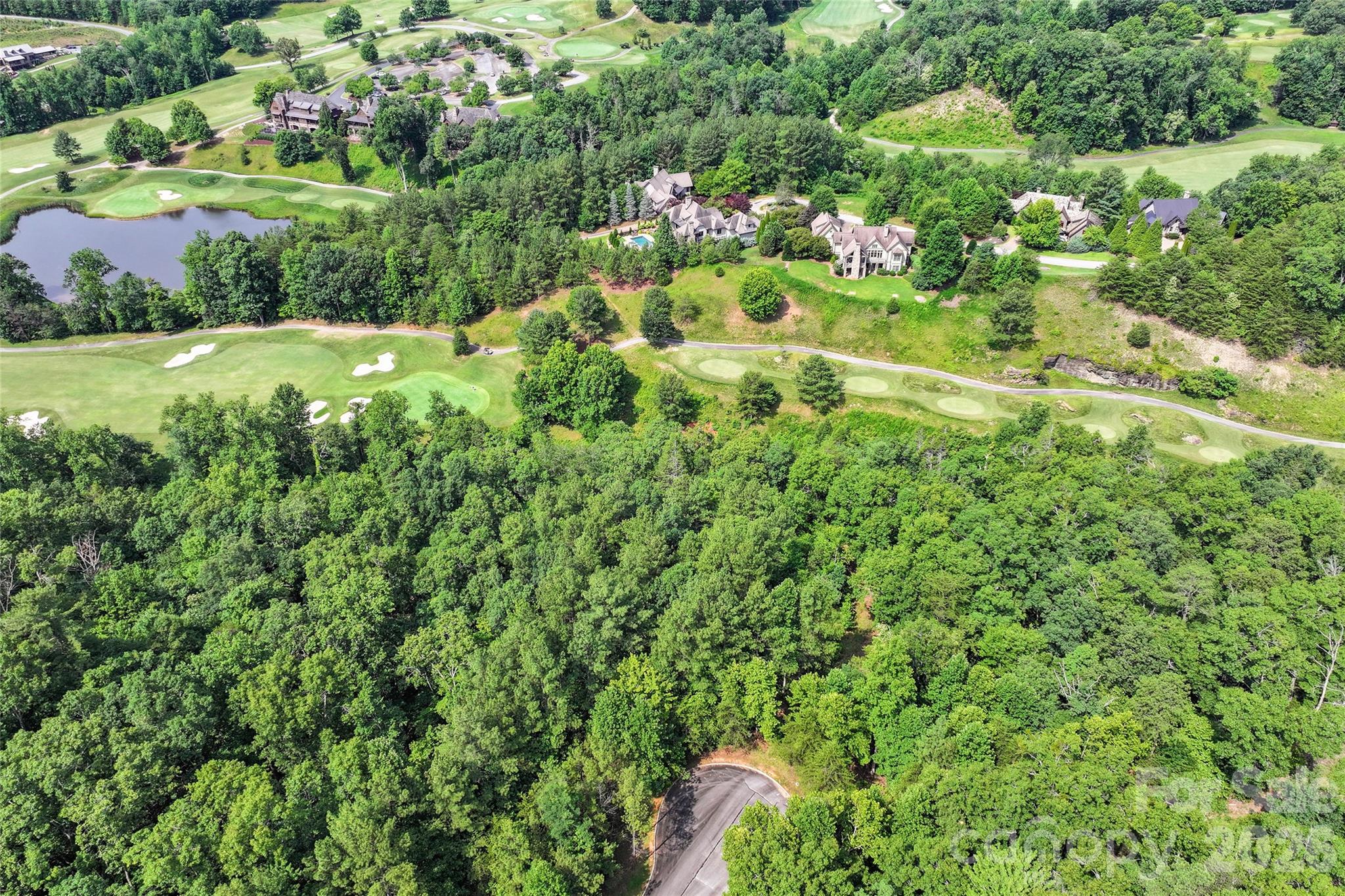 Lot 24 Monteith Pl Mill Spring Mill Spring, NC 28756 - Photo 11 of 24