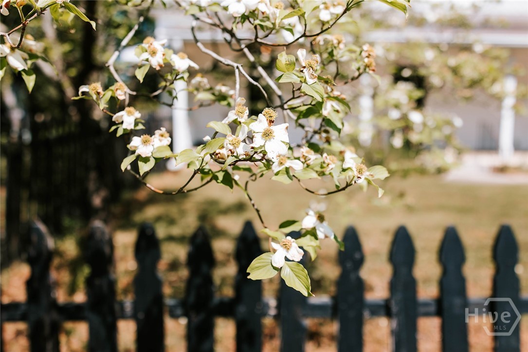 229 East Spring Street Crawford, GA 30630 - Photo 30 of 39