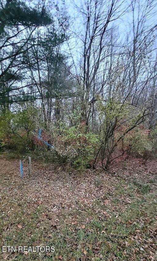 0 Fairview Road Crossville, TN 38571 - Photo 5 of 5 Gallery Image 5