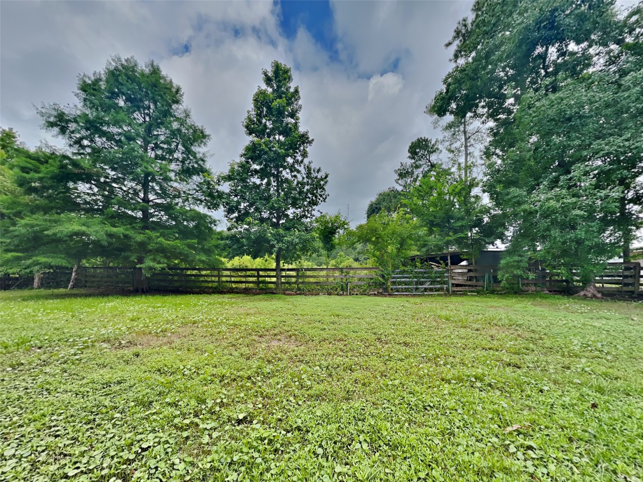 10648 Fussel Road, Unit A Conroe, TX 77385 - Photo 17 of 18 a view of a green yard
