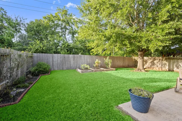 a view of a garden with potted plants and large tree