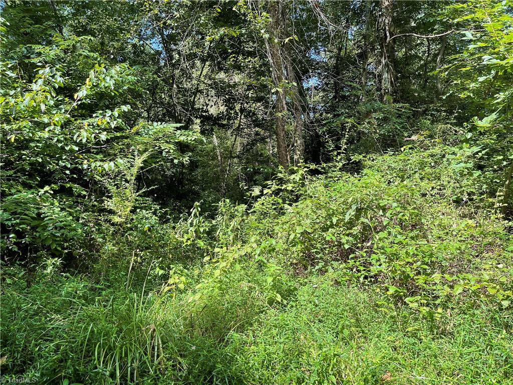 3.1-ac Edwards Farm Road King, NC 27021 - Photo 14 of 29