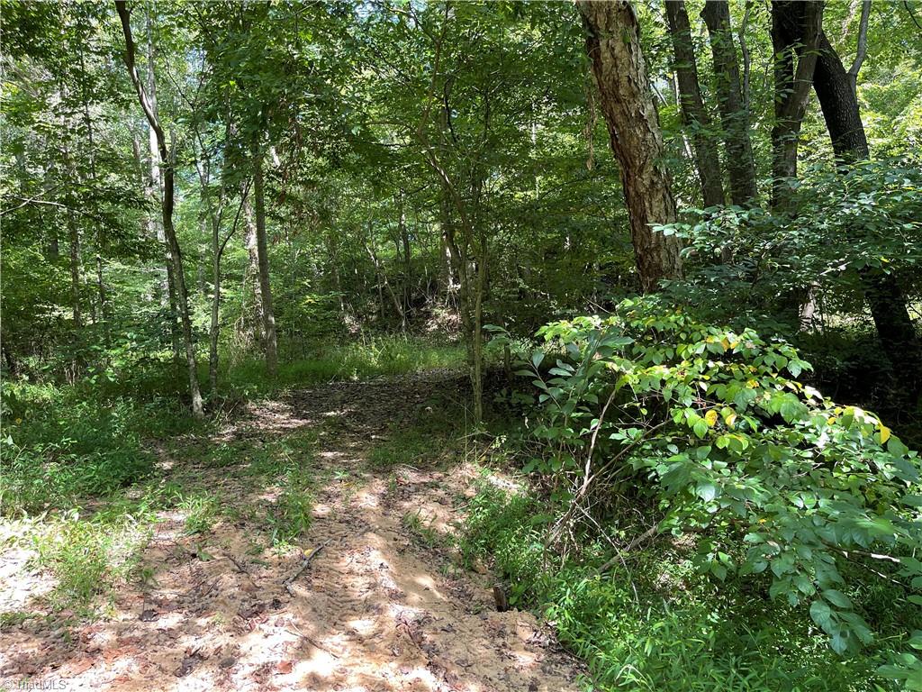 3.1-ac Edwards Farm Road King, NC 27021 - Photo 22 of 29 road beds throughout property