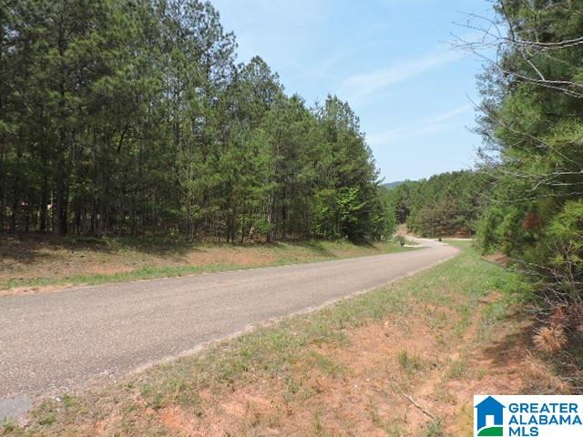 204 County Road, Unit 87 Wedowee, AL 36278 - Photo 11 of 11